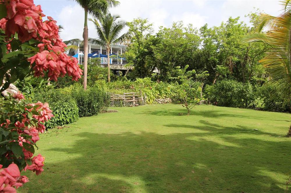 Hotel Mockingbird Hill Port Antonio Exterior photo