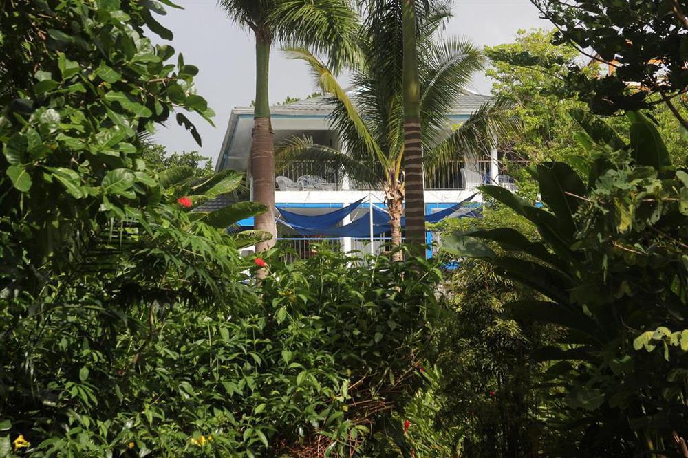 Hotel Mockingbird Hill Port Antonio Exterior photo